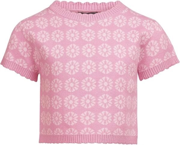 81Nba9Uqx0L._AC_SX679_ Pink Cythoreum Skirt Set